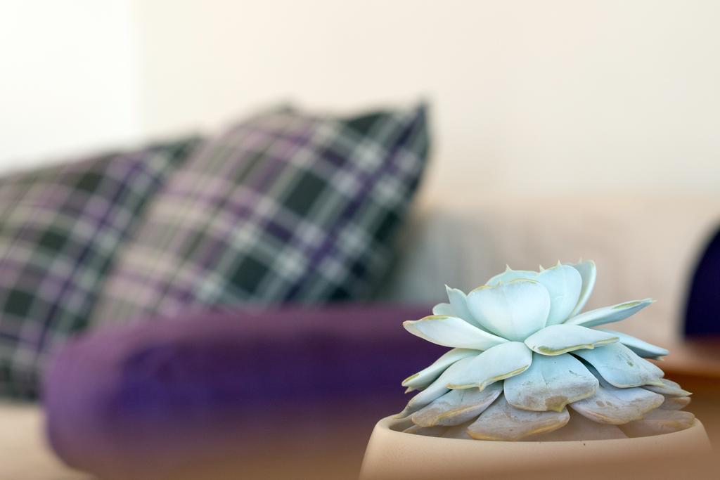 Beach Guesthouse Mediteran Podstrana Chambre photo