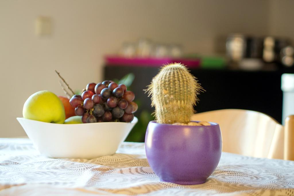 Beach Guesthouse Mediteran Podstrana Chambre photo